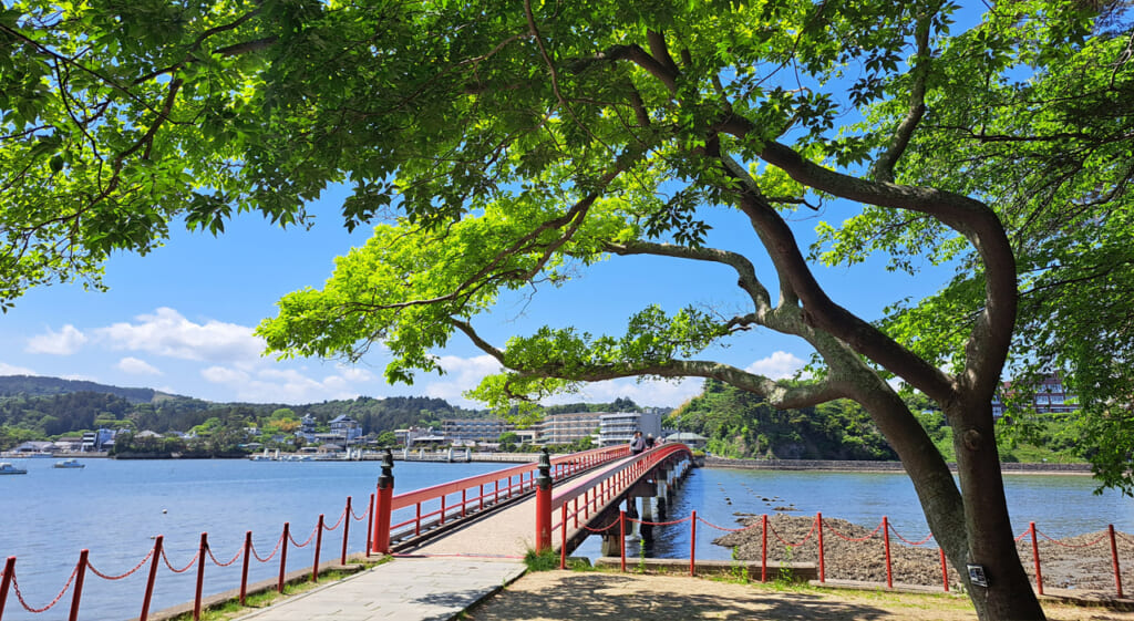 Le fameux pont vermillon de Matsushima
