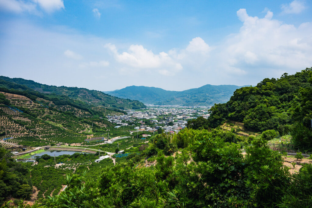 Vue sur la nature d'Arida