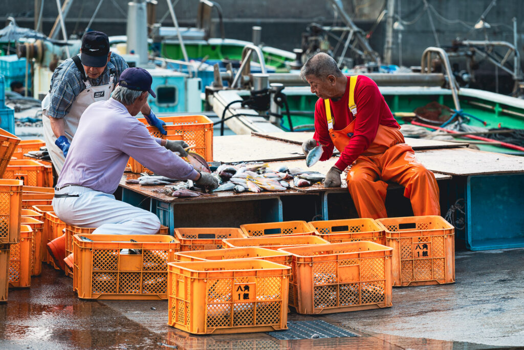 Le port de pêche le matin
