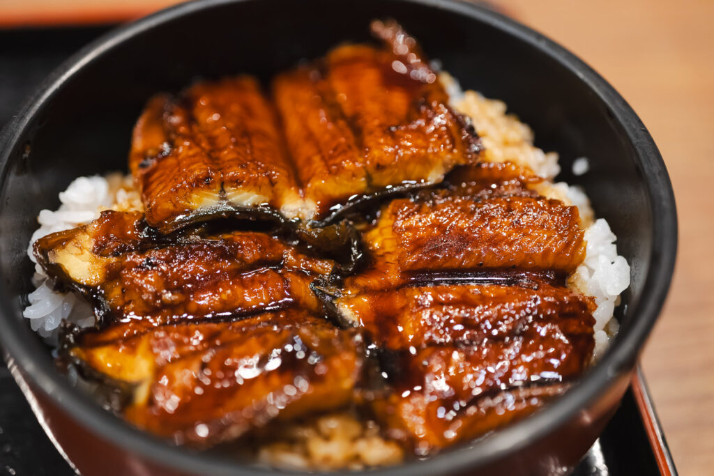 Unagi-don à Wakayama
