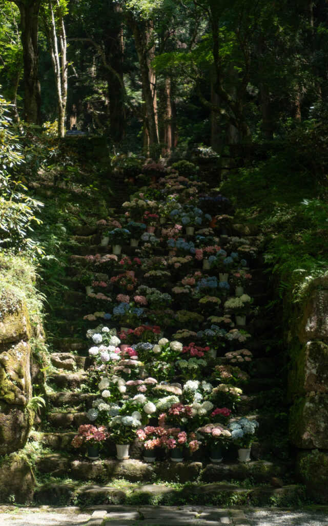 Au fil des saisons à Nara