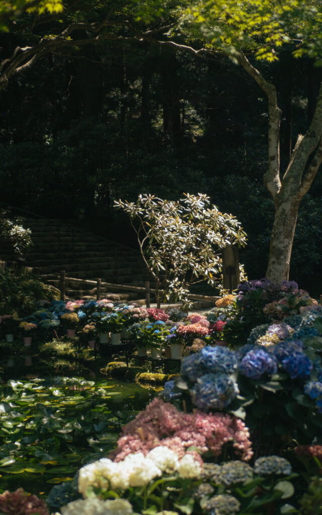 Le Muro-ji au fil des saisons
