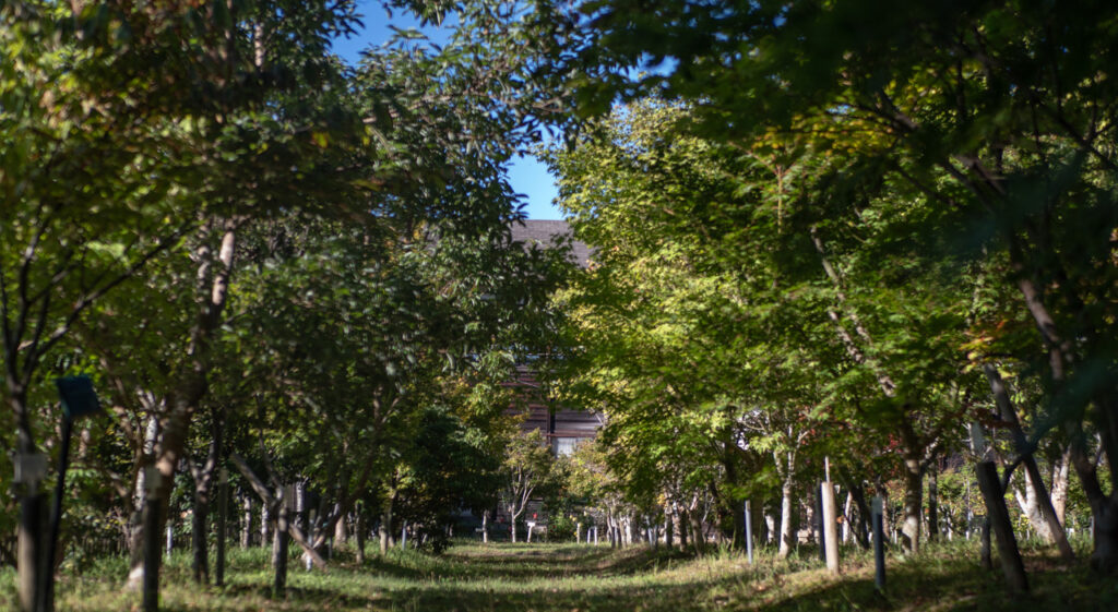 Visite immanquable à Utano
