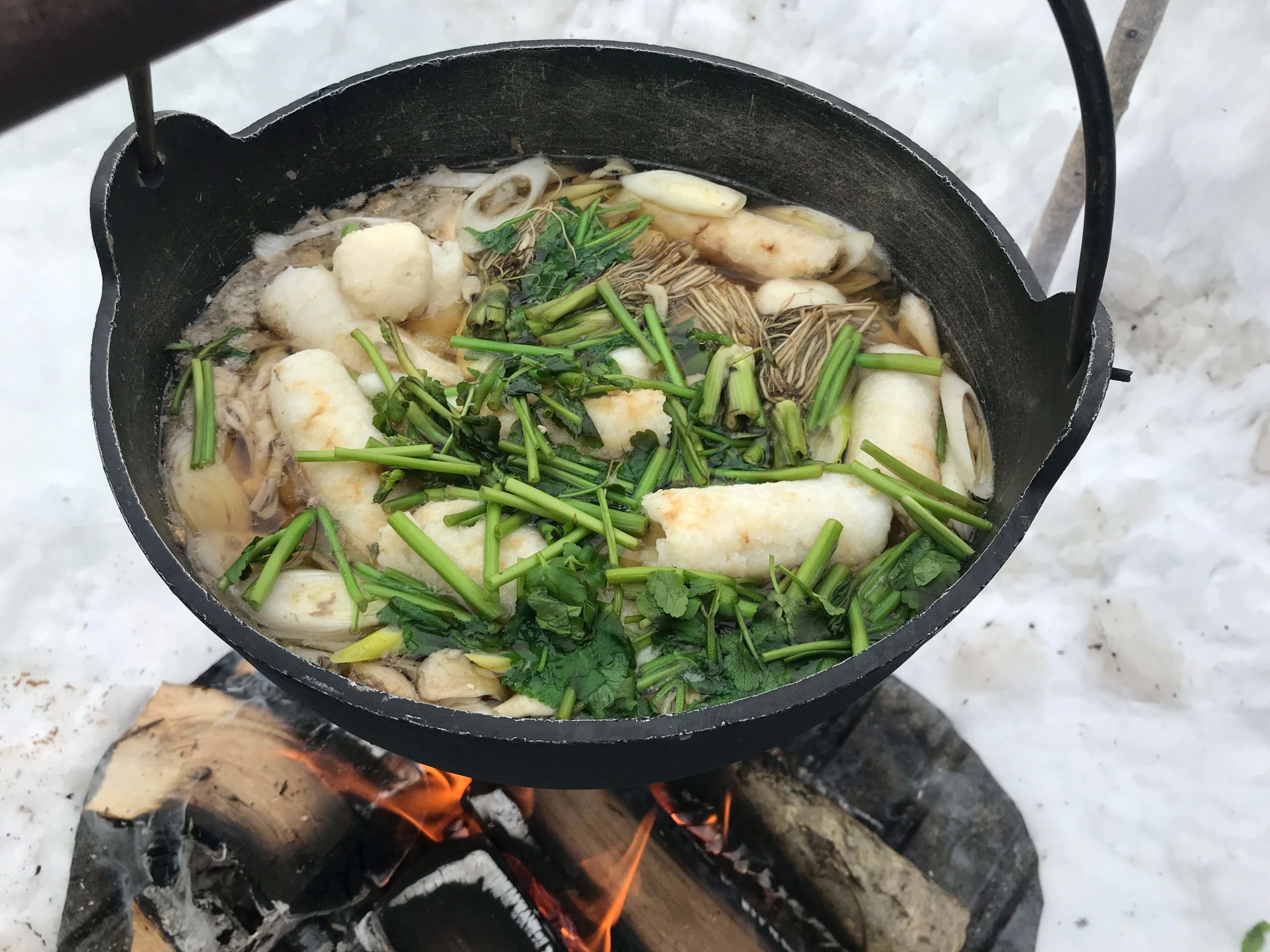Assiettes de la nature : la cuisine vibrante d’Akita