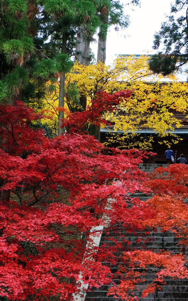 Temple Enryaku-ji en novembre