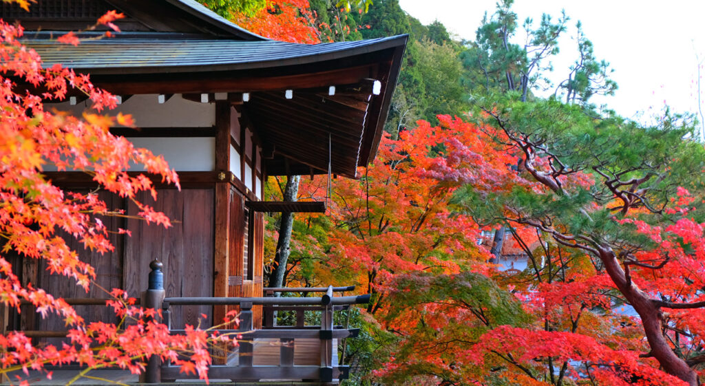 La beauté des saisons au Japon