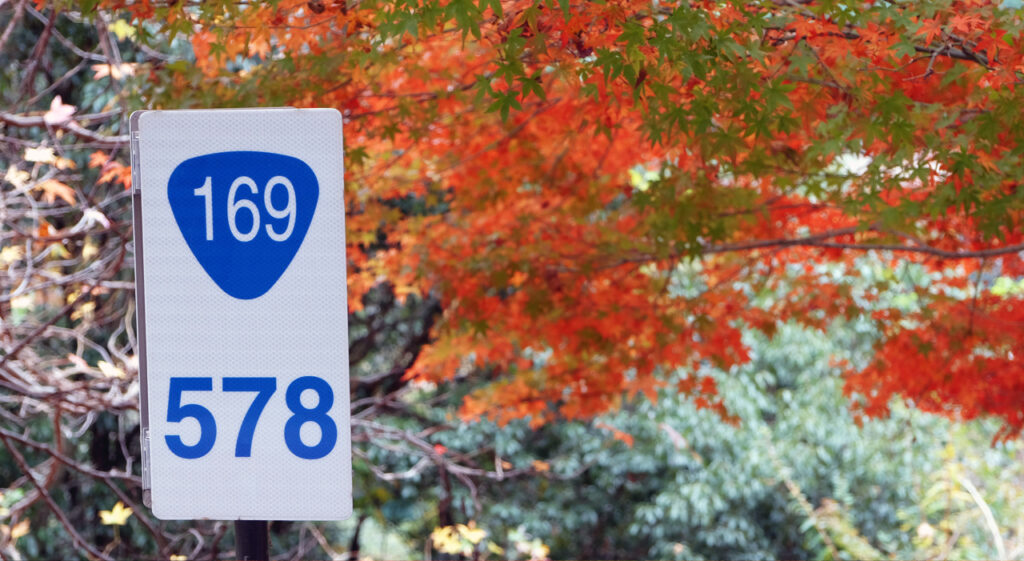 Routes japonaises à Nara