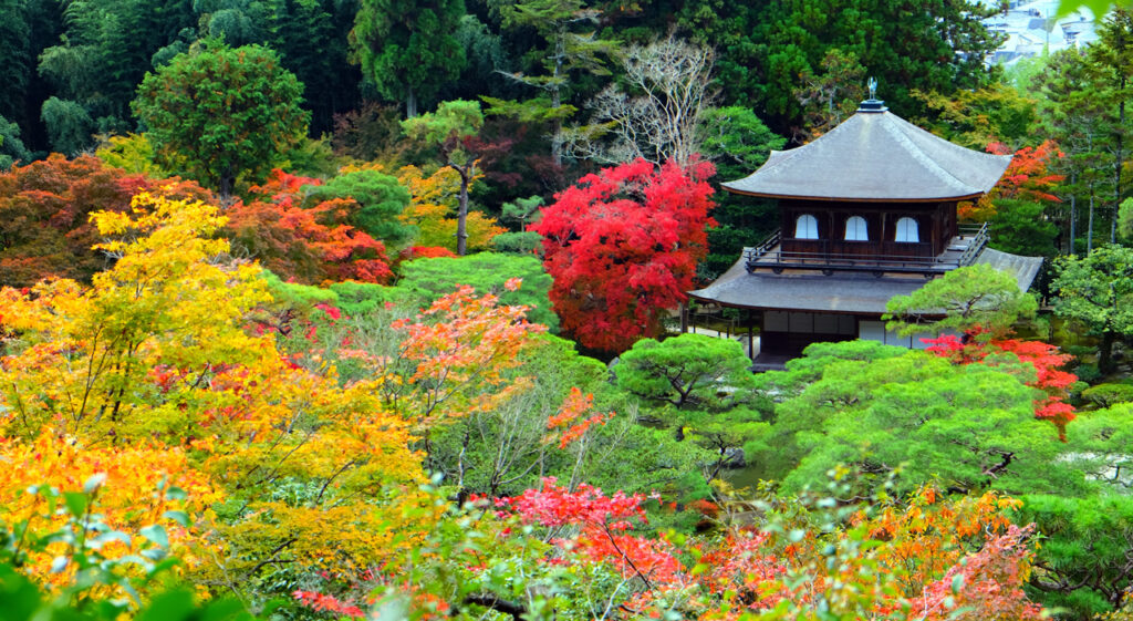 L'automne au Japon, à Kyoto