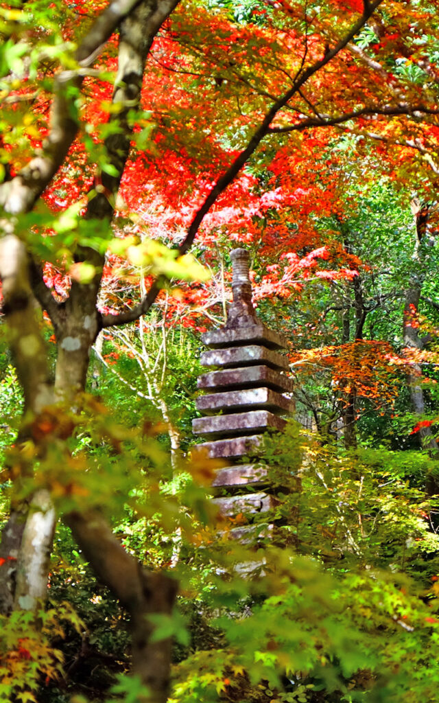 Automne au Japon, de splendides couleurs