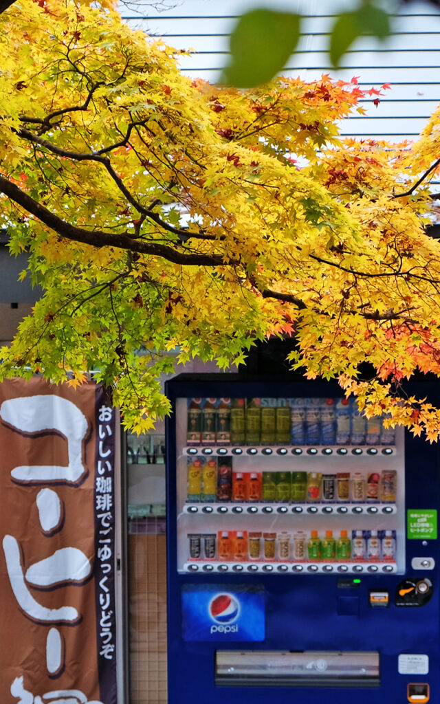L'ambiance du Japon pendant le koyo
