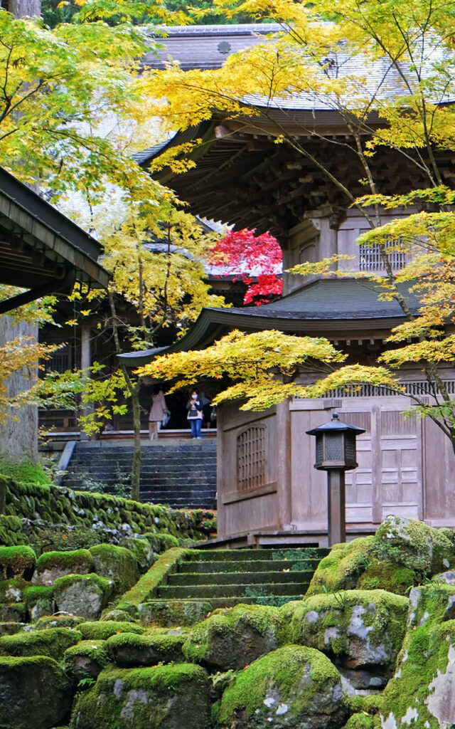 Temple Eihei-ji en novembre