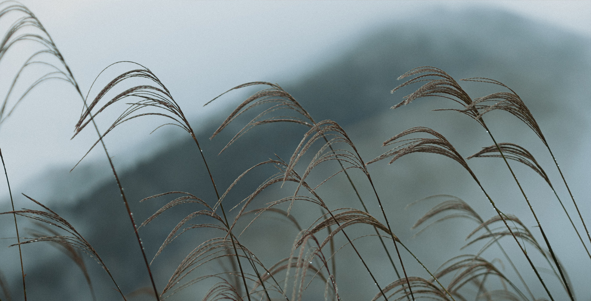 Soni Highland, pourquoi y aller ?