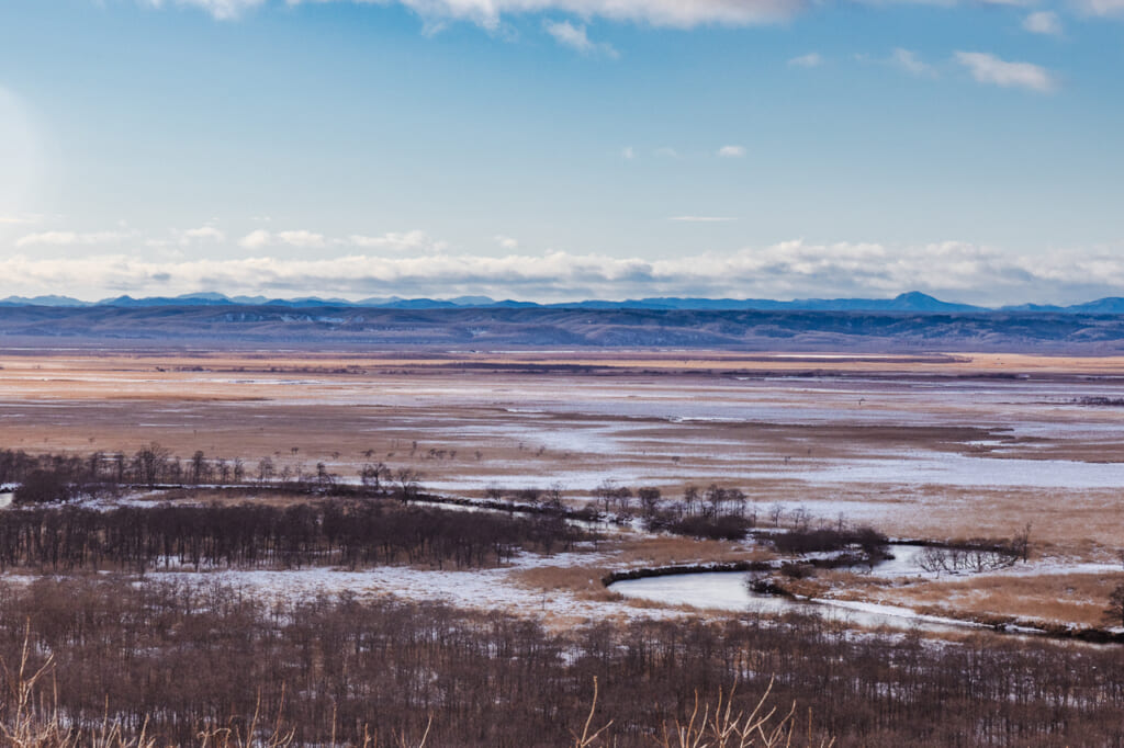 Marais de Kushiro