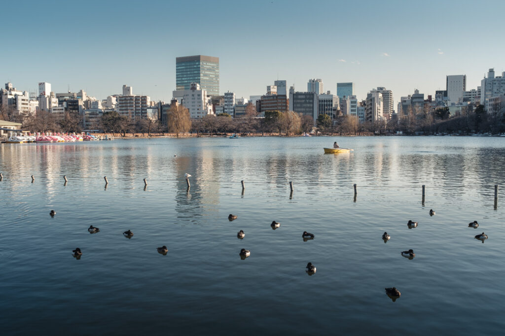 Le parc d'Ueno à Tokyo