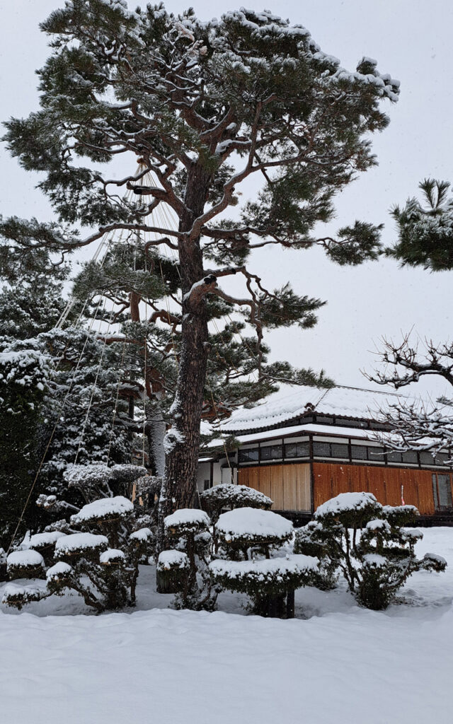 Hirosaki sous la neige