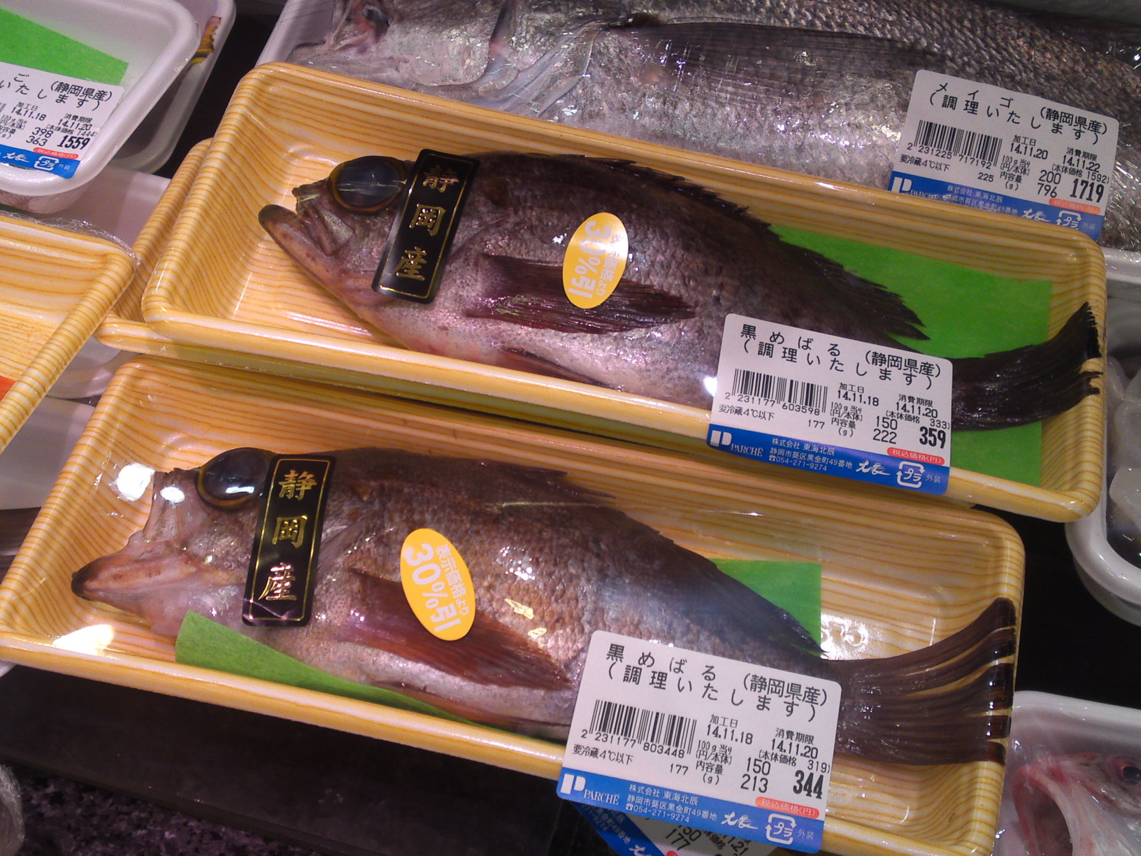 The Japanese English Fish Lexicon