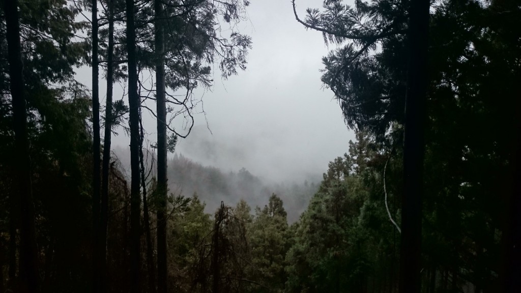 Hiking Mount Kongo, Osaka