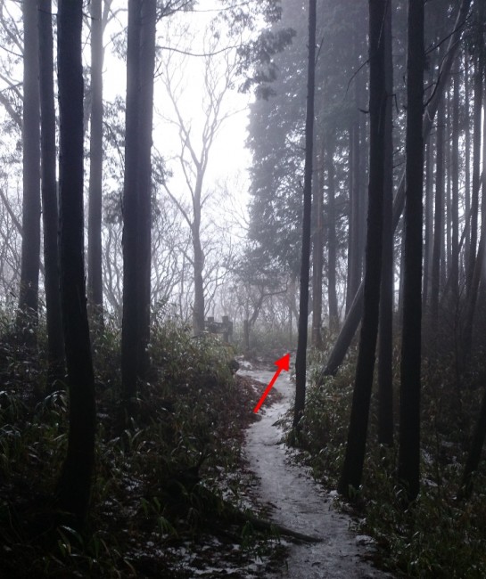 forest trail in Mount Kongo Osaka