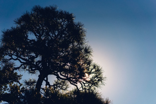 Walking route from Enoshima Shrine: Enjoy the view!