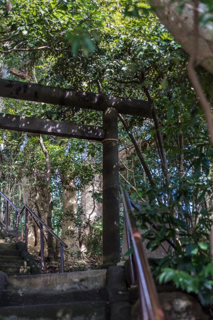 Hiking trail in Kamakura: Kamakura-yama to Gokurakuji