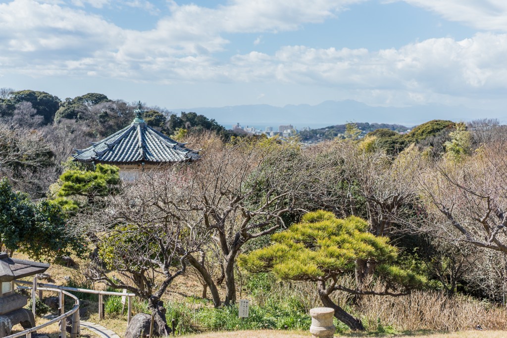 Soba Restaurant in Kamakura: Rai Tei outlooking view