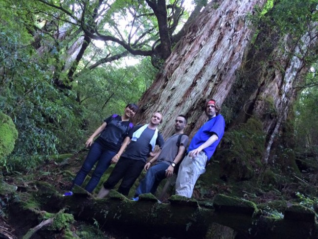 Four friends by that famous Yakushima tree, the Yakusugi