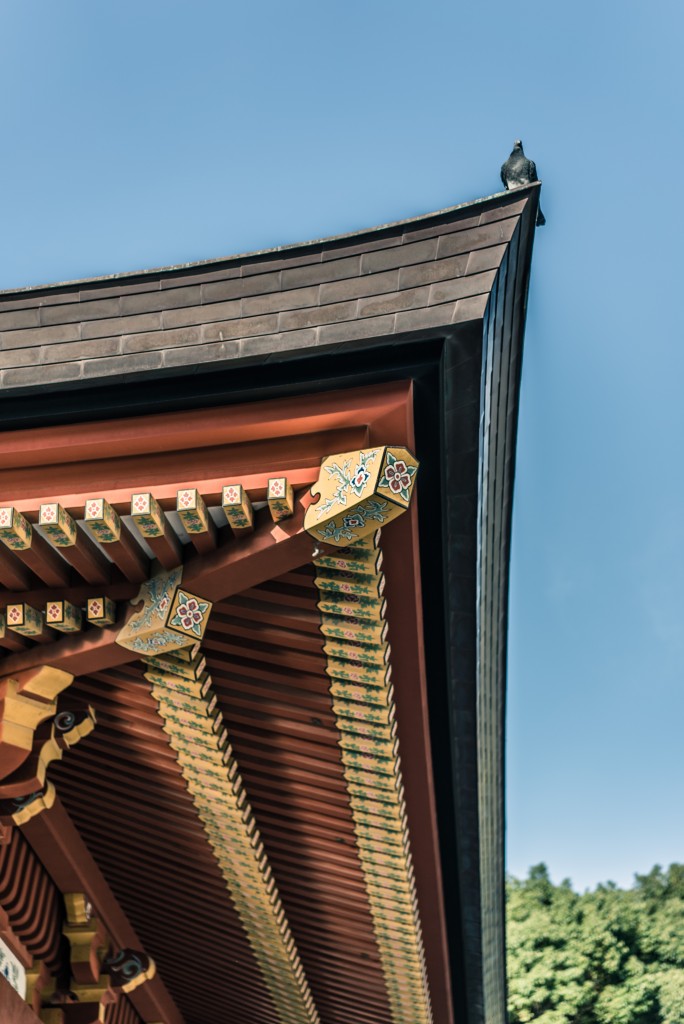 Tsurugaoka Hachimangu shrine: Birthplace of the Samurai Regime
