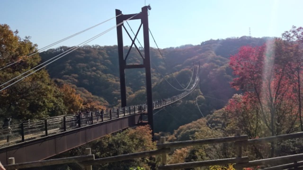 Walking in Kisaichi Hoshida-Enchi Park, Osaka&#39;s off-the-beaten-path secret