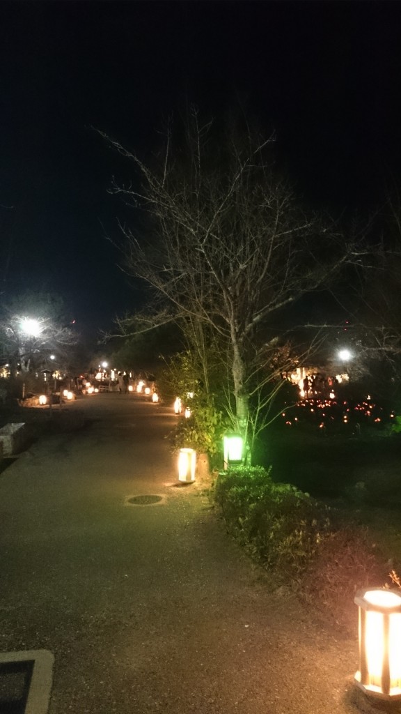 Kyoto Higashiyama Hanatouro Festival is held at various Temple
