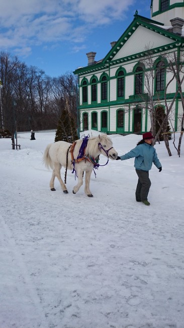 A horse and its owner at the historic Hokkaido Open Air Museum