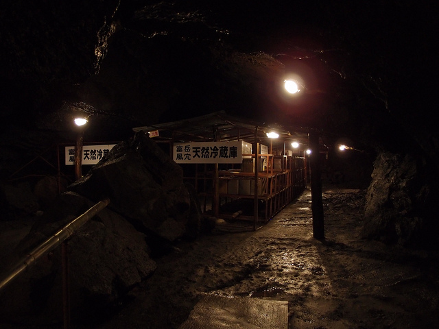 Aokigahara forest at night