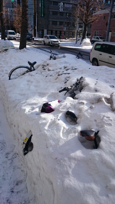 Bikes buried under the intense Sapporo snow