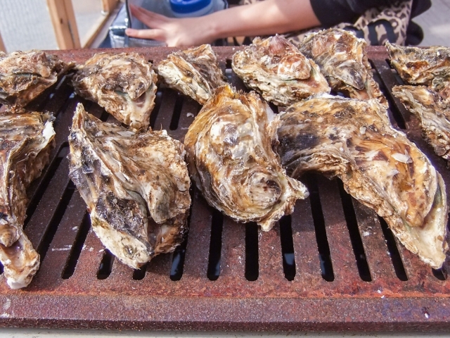 The crackling Hiroshima bounty - the oyster