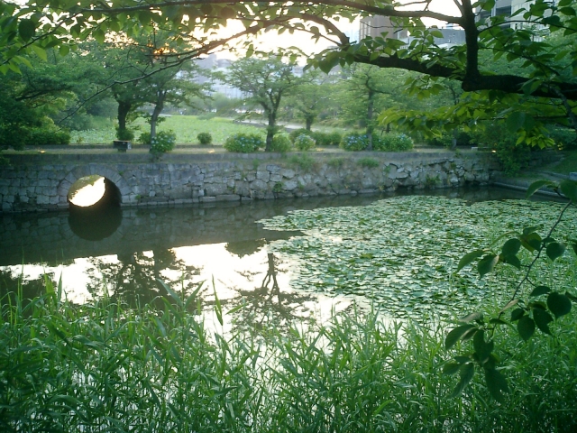 A view of Maizuru Park alongside Fukuoka Castle grounds