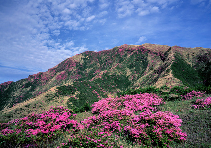 Kumamoto is home to Kusasenrigahama, also a UNESCO-World-Geo Park, offers Nature 