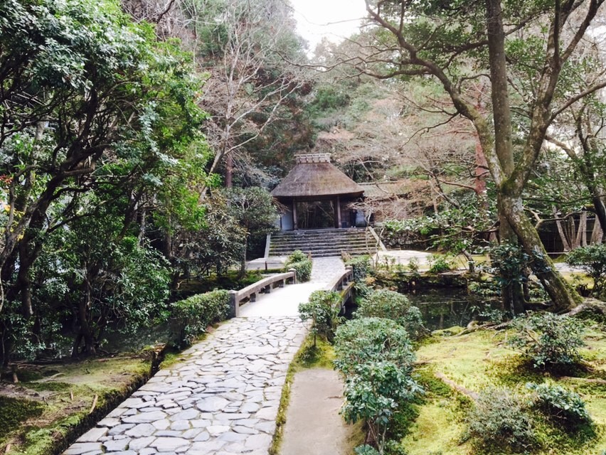 Walk The Philosopher’s Path, A True Kyoto Experience!