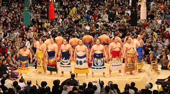 Sumo, the way you will get the ticket on the budget?!