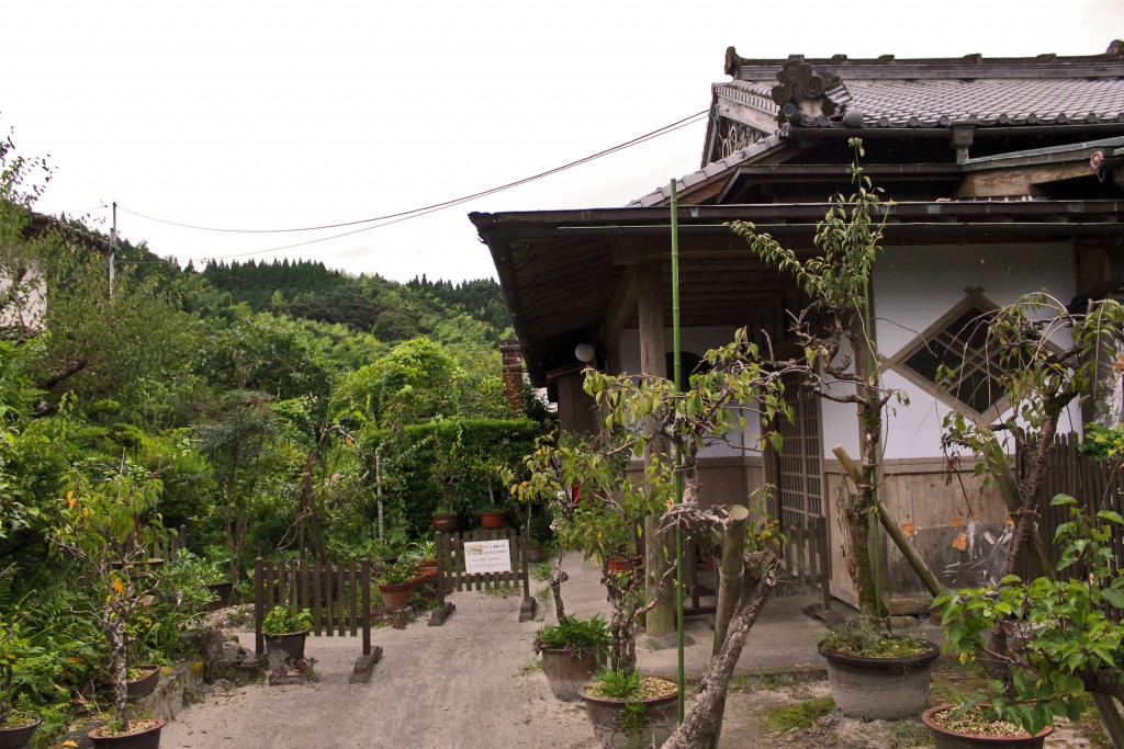 House plants of a house with samurai heritage in Chiran.