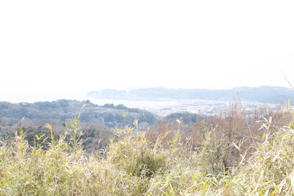 Hiking the hidden path in Kamakura! – Kinubariyama hiking course