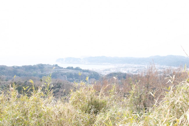 Hiking the hidden path in Kamakura! – Kinubariyama hiking course