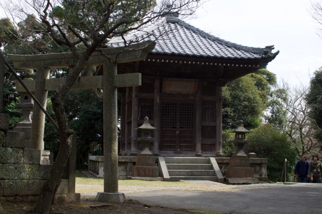 torii gate and temple or shrine building