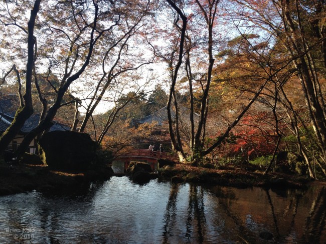 grounds of Daigoji temple in Kyoto
