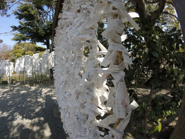 omikuji tied to ropes at a shrine