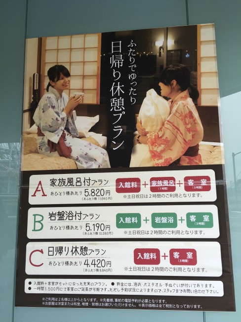 We'll be provided with various types of onsen and ryokan plans 