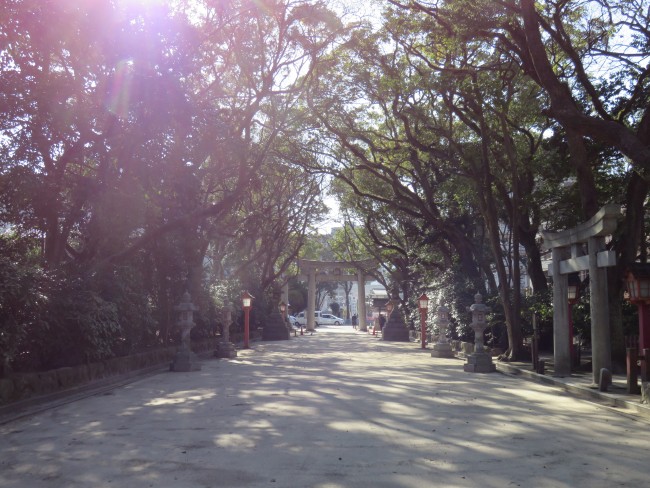 Sumiyoshi shrine walkway within nature amidst otherwise bustling Hakata, Fukuoka