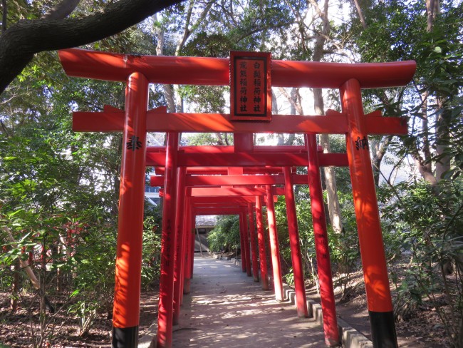 Sumiyoshi shrine, Inari shrine torii orange against nature green amidst otherwise bustling Hakata, Fukuoka