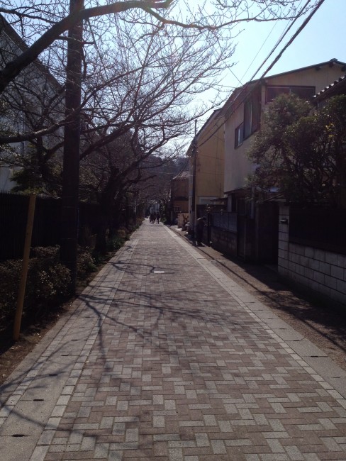 pathway in Kamakura 