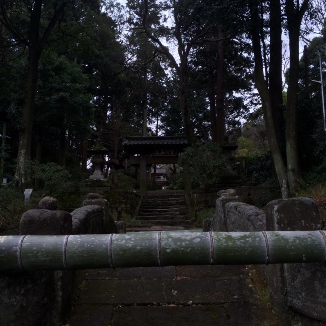 Seen near Daibutsu hiking course, Jochi-ji temple, Kamakura