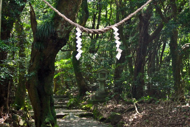 Paper tied to rope hanging from above on the way Hananonamida shrine on Kinpo Mountain.