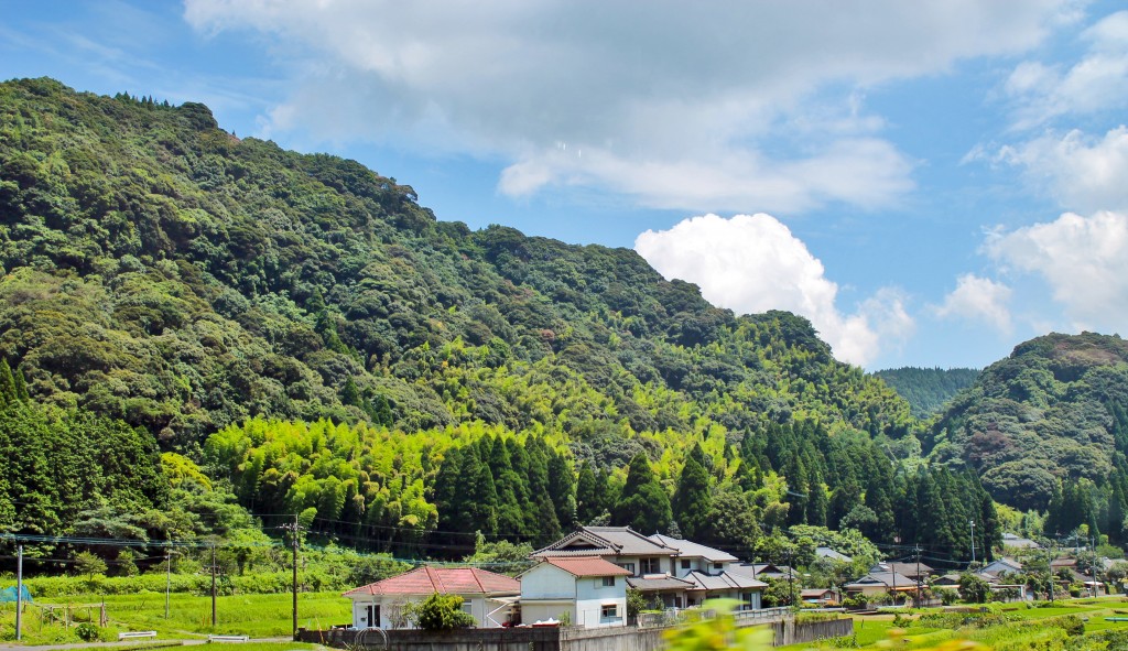 Mountain full of trees and some houses on the way to Kirishima Jingu Shrine.